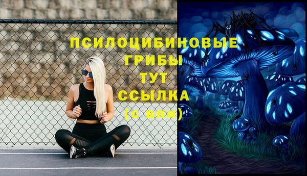 хмурый Абинск