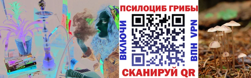 наркота  Мостовской  Галлюциногенные грибы прущие грибы 