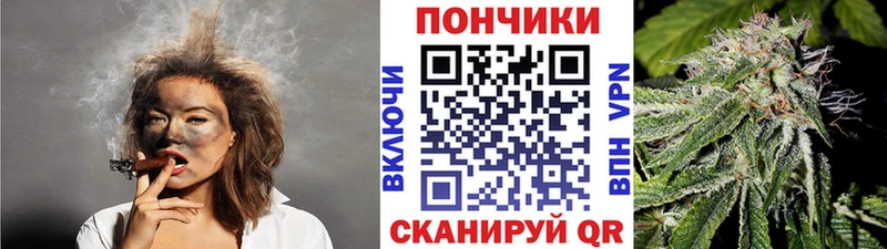 Бошки Шишки сатива  Мостовской 